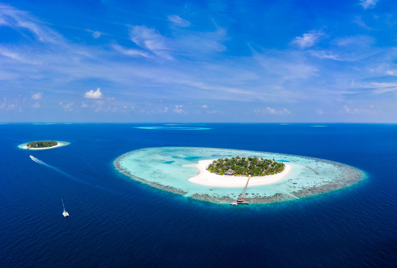 BANYAN TREE VABBINFARU