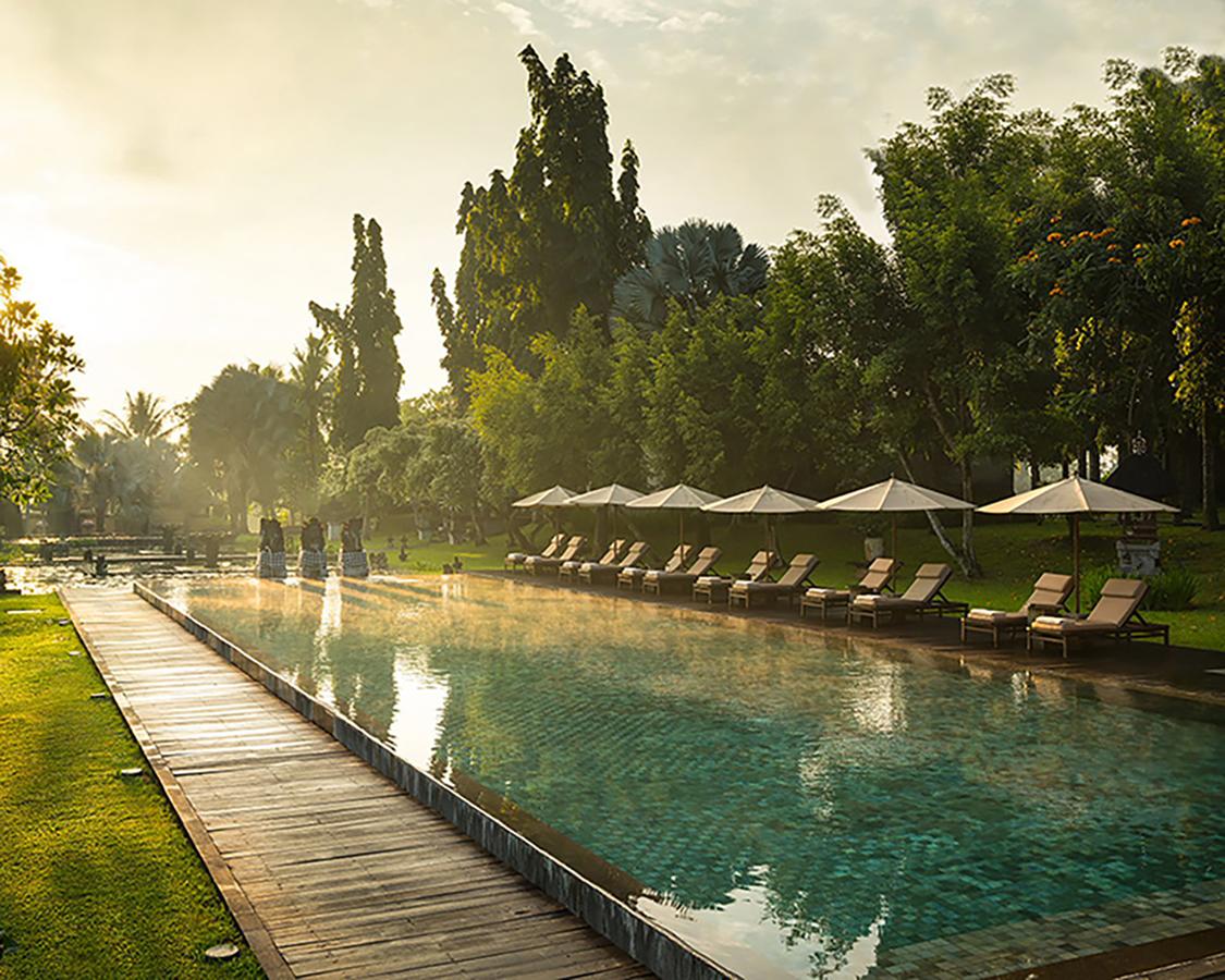 THE CHEDI CLUB TANAH GAJAH