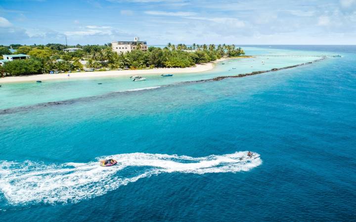 SEASON PARADISE