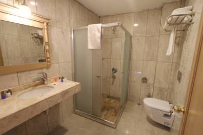 APPLE TREE HOTEL