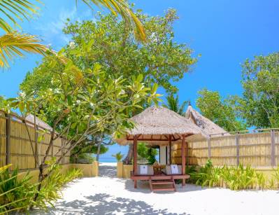 BANYAN TREE VABBINFARU