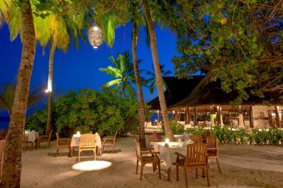 BANYAN TREE VABBINFARU