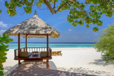 BANYAN TREE VABBINFARU