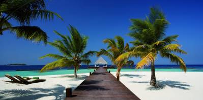 COCO BODU HITHI