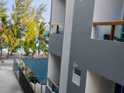 COCONUT TREE HULHUVILLA BEACH
