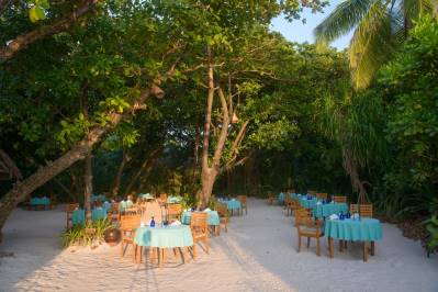 COCO PALM DHUNI KOLHU