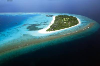 COCO PALM DHUNI KOLHU