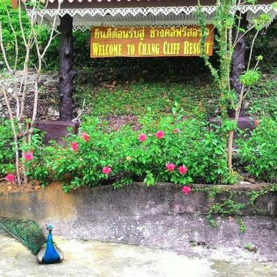 CHANG CLIFF RESORT