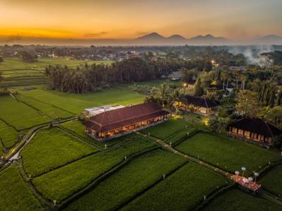 THE CHEDI CLUB TANAH GAJAH