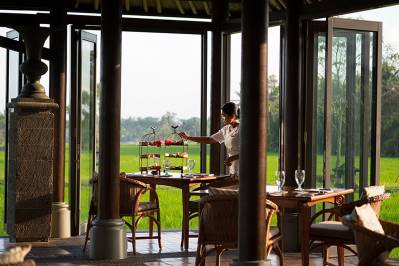 THE CHEDI CLUB TANAH GAJAH