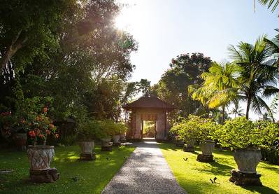 THE CHEDI CLUB TANAH GAJAH