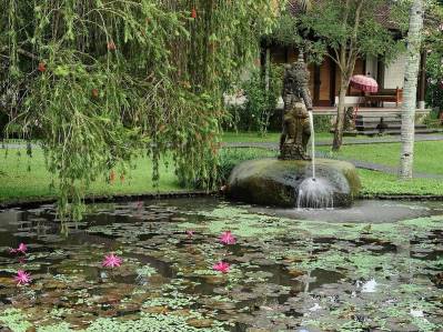 THE CHEDI CLUB TANAH GAJAH