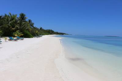 CANAREEF RESORT