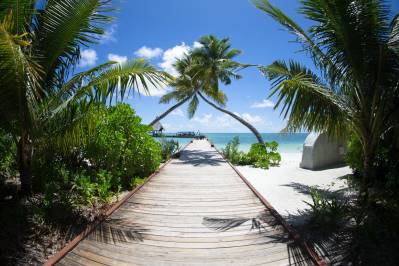 CANAREEF RESORT