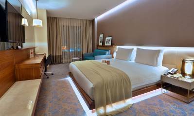 DOSSO DOSSI HOTEL DOWN TOWN