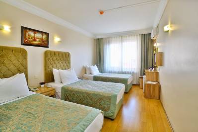 GRAND ANT HOTEL
