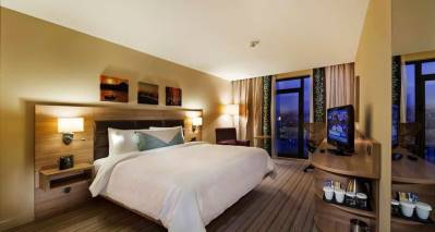 HILTON GARDEN INN GOLDEN HORN