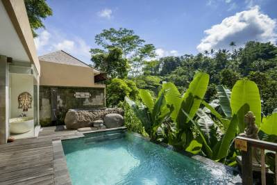 THE KAYON JUNGLE RESORT