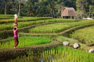 MANDAPA, A RITZ-CARLTON RESERVE
