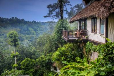 NANDINI JUNGLE BY HANGING GARDENS