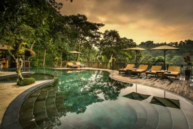 NANDINI JUNGLE BY HANGING GARDENS