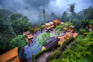NANDINI JUNGLE BY HANGING GARDENS