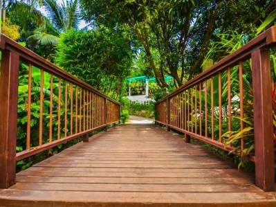 ORCHIDACEA RESORT