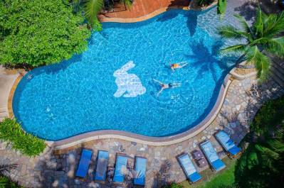 RABBIT RESORT