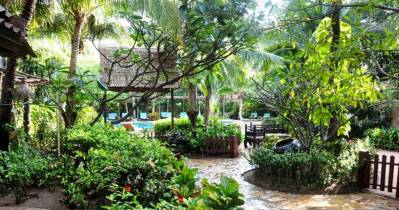 RABBIT RESORT