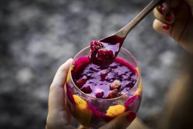 REVIVO WELLNESS RESORTS