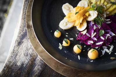 REVIVO WELLNESS RESORTS