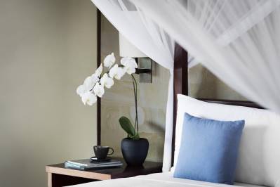 REVIVO WELLNESS RESORTS