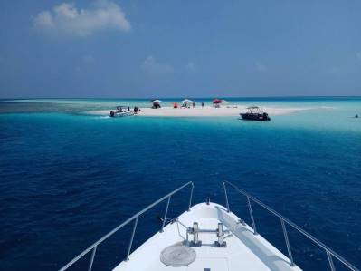 SEASON PARADISE