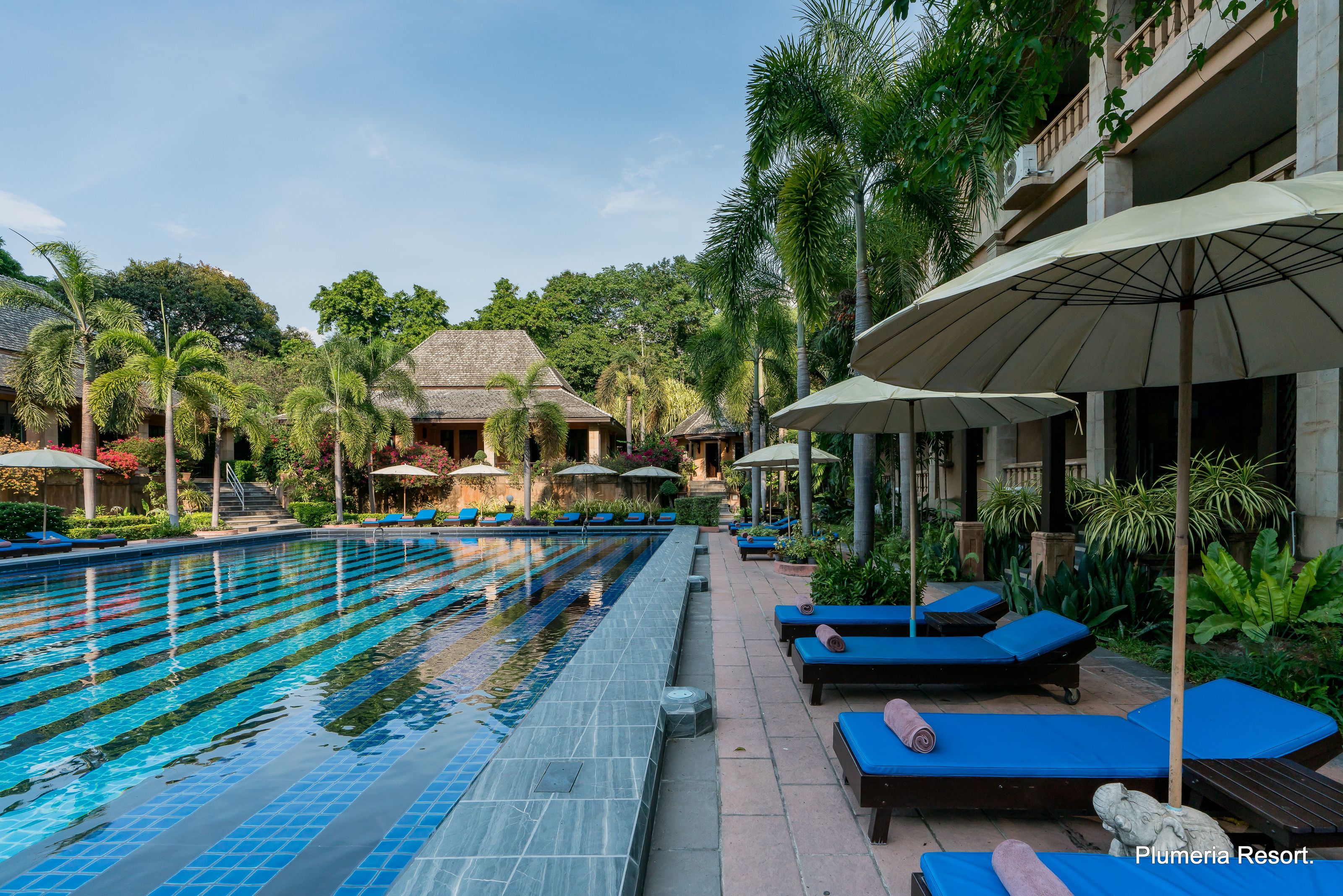 PLUMERIA RESORT