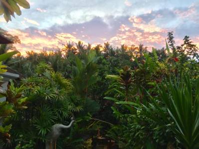 BALI SPIRIT HOTEL & SPA