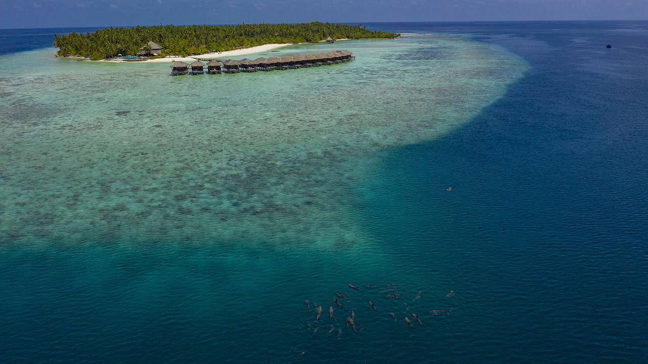 Мальдивы Filitheyo Island