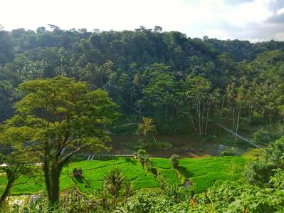 PURI BUNGA RESORT & SPA