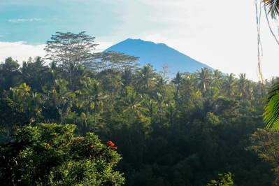 THE PAYOGAN VILLA RESORT AND SPA